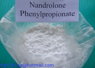 Pó esteróide 62-90-8 do Nandrolone do Nandrolone de Phenylpropionate do Nandrolone fornecedor 