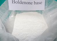 Melhor Pó cru puro Boldenone CAS composto esteróide 846-48-0 de 98% Boldenone para o halterofilista para venda