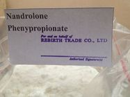 Melhor Uso legal do esteróide 62-90-8 do Nandrolone de Phenylpropionate do Nandrolone após a cirurgia para venda
