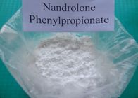 China Pó esteróide 62-90-8 do Nandrolone do Nandrolone de Phenylpropionate do Nandrolone distribuidor 